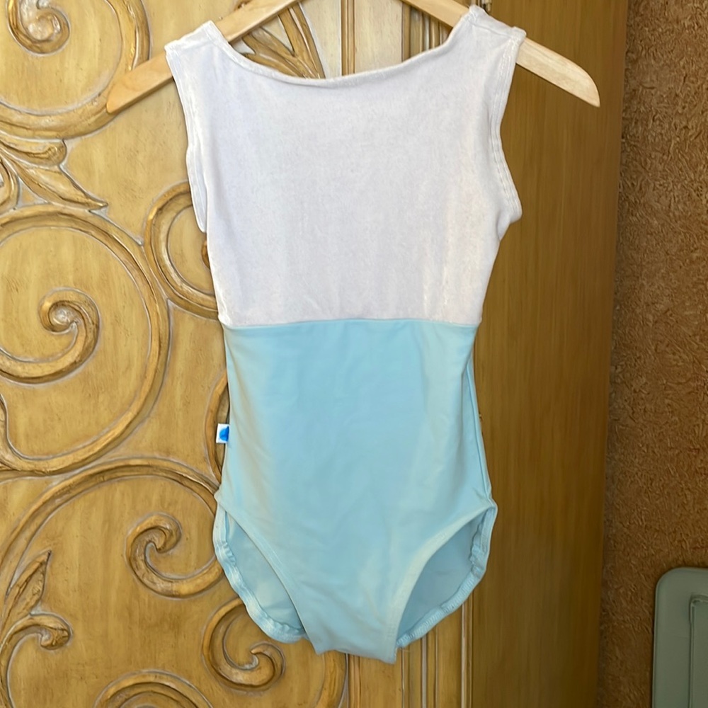 Custom Alger Designs leotard White velvet upper.